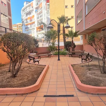 Olivos And Pool * Fuengirola